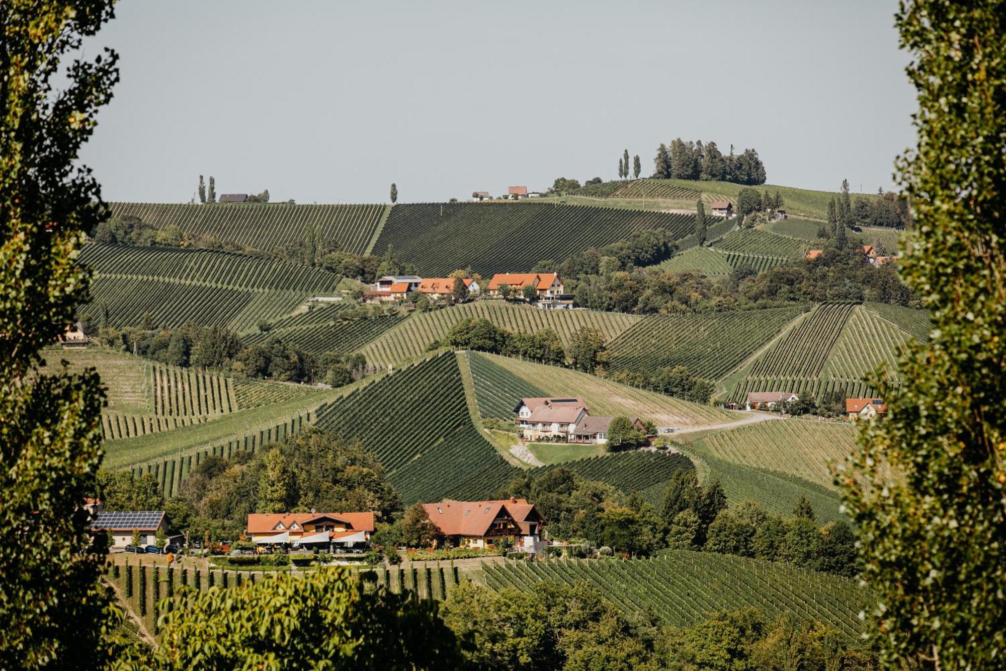 Ferienhaus Am Herbsthof Лойчах Экстерьер фото