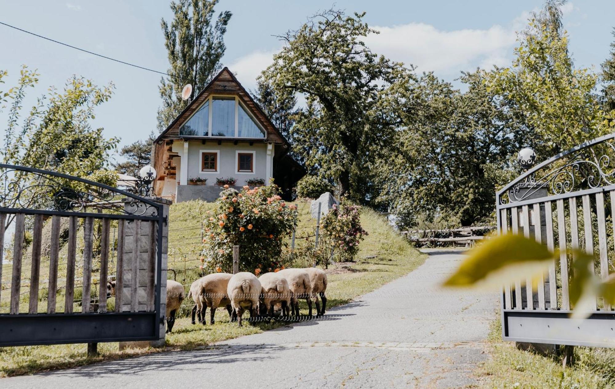Ferienhaus Am Herbsthof Лойчах Экстерьер фото