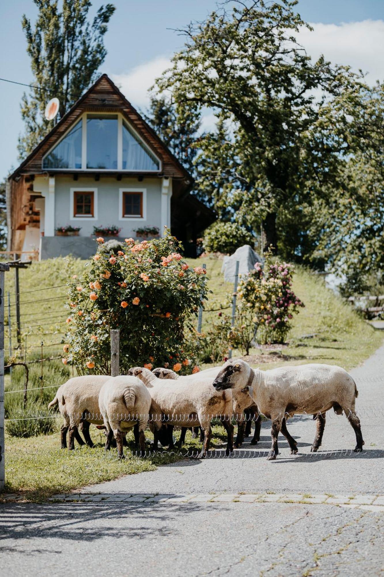 Ferienhaus Am Herbsthof Лойчах Экстерьер фото